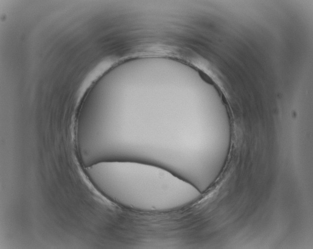 X0000062841477200601131311