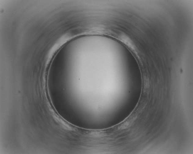 X0000062841480200601131311