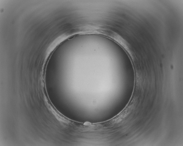 X0000062841485200601131311