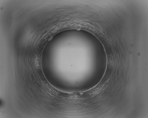 X0000062841490200601131310