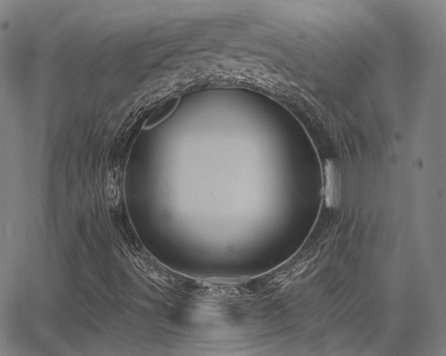 X0000062841491200601131310