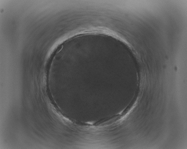 X0000062841506200601131310