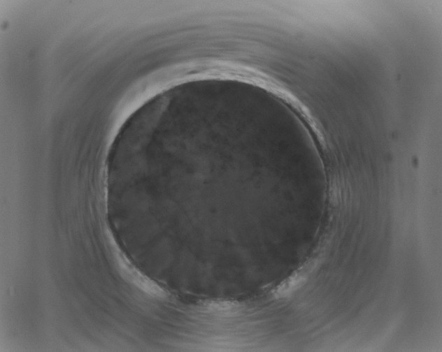 X0000062841522200601131310