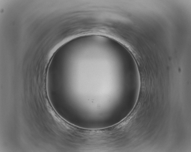 X0000062841534200601131311