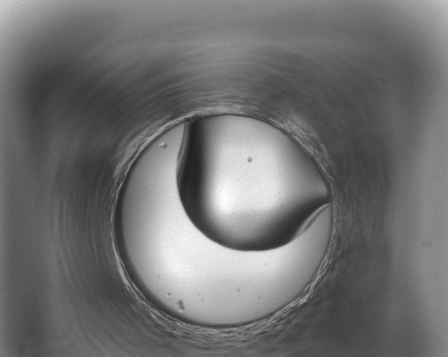 X0000062840001200601171457