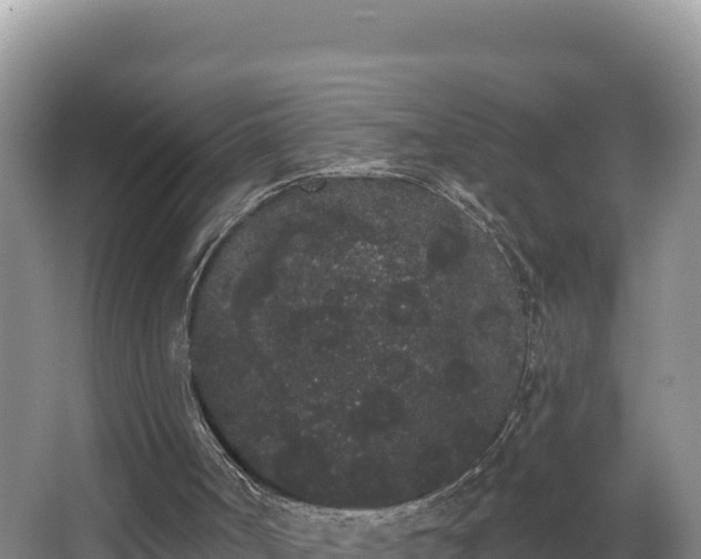 X0000062840002200601171457