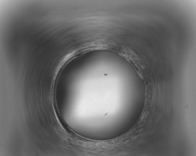 X0000062840003200601171457