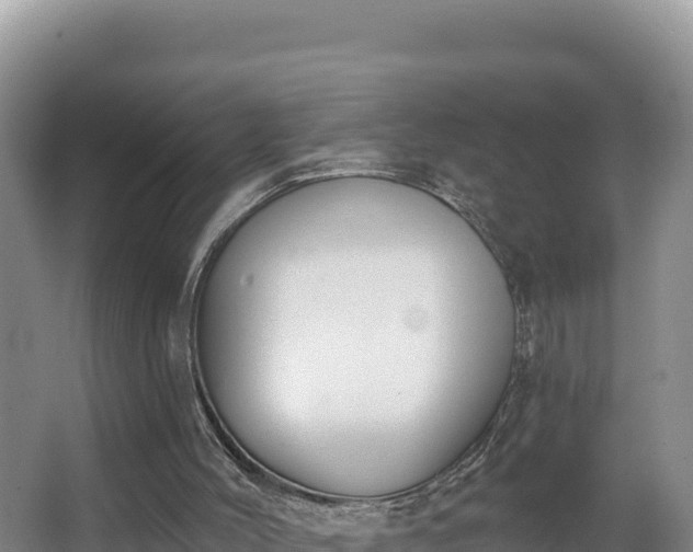 X0000062840004200601171457