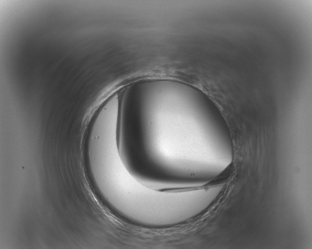 X0000062840005200601171457