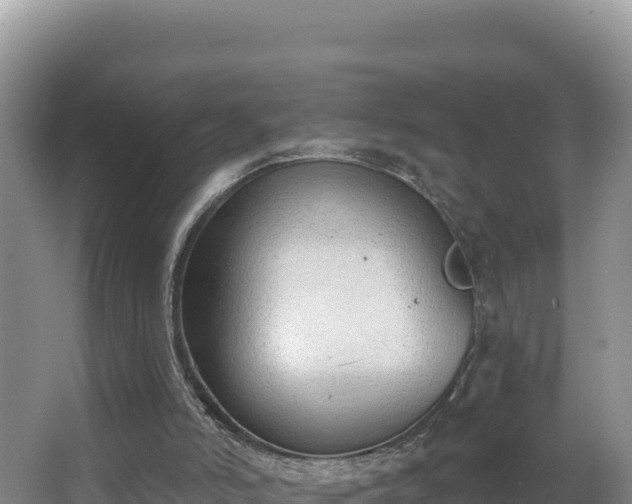 X0000062840006200601171457