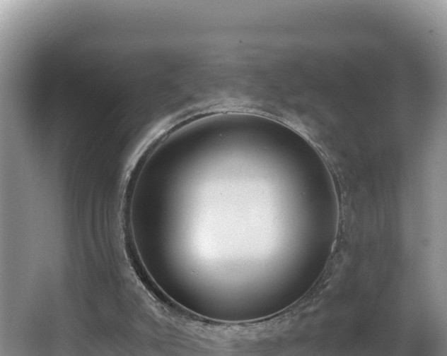 X0000062840007200601171457