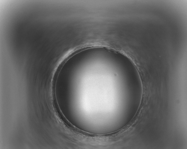 X0000062840008200601171457