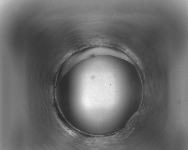 X0000062840009200601171457