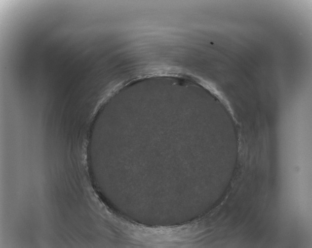 X0000062840010200601171457