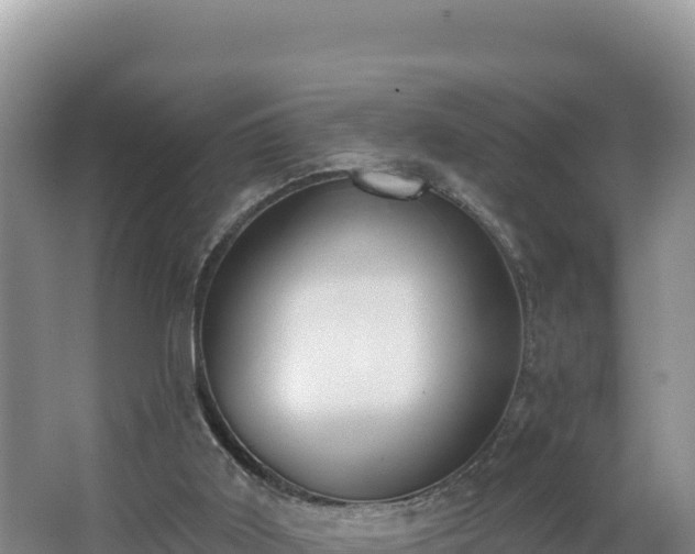 X0000062840011200601171457