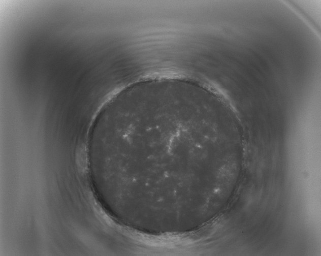 X0000062840012200601171457