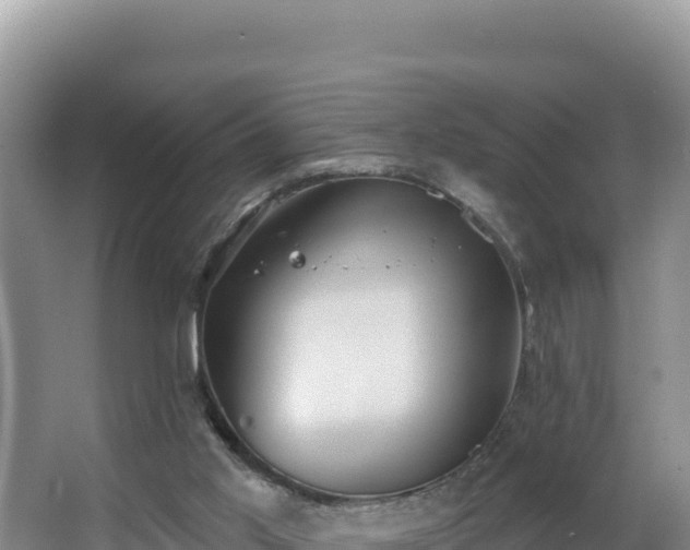 X0000062840013200601171457