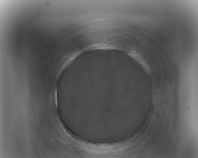 X0000062840014200601171457