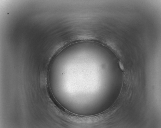 X0000062840015200601171457