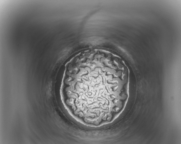 X0000062840018200601171457