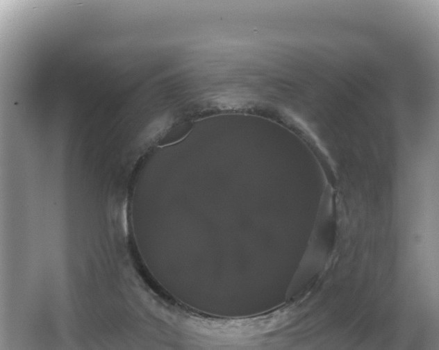 X0000062840019200601171457