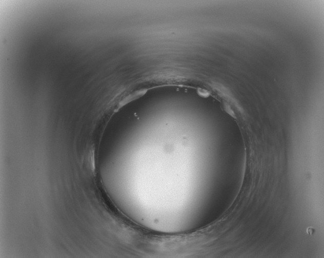 X0000062840021200601171457