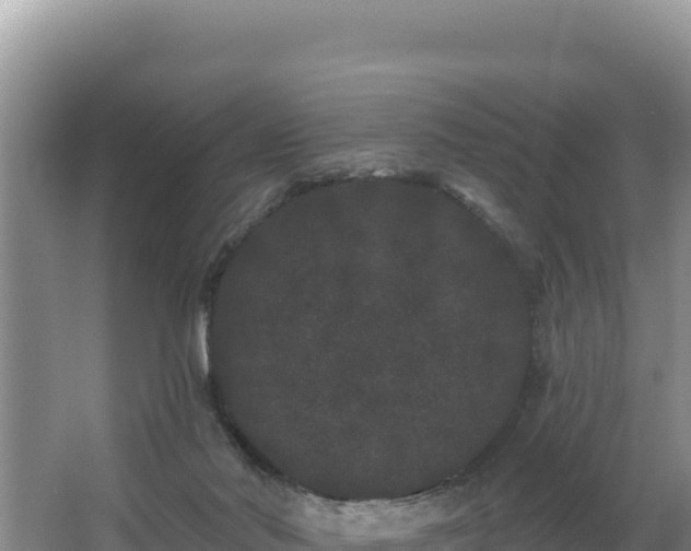 X0000062840022200601171457