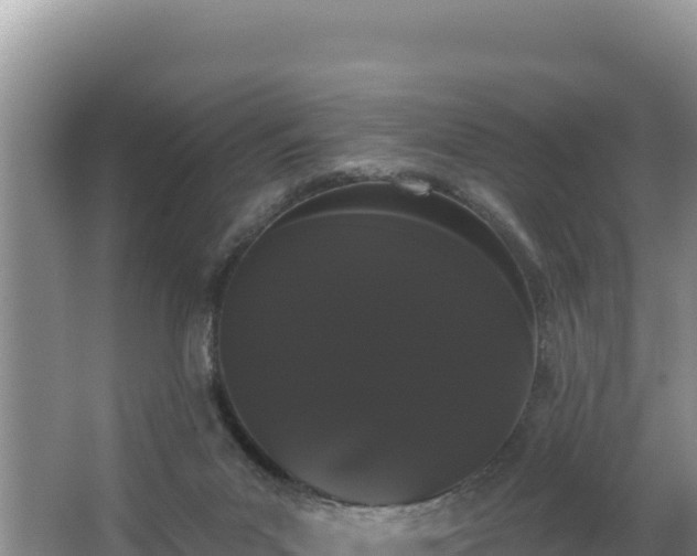 X0000062840023200601171457