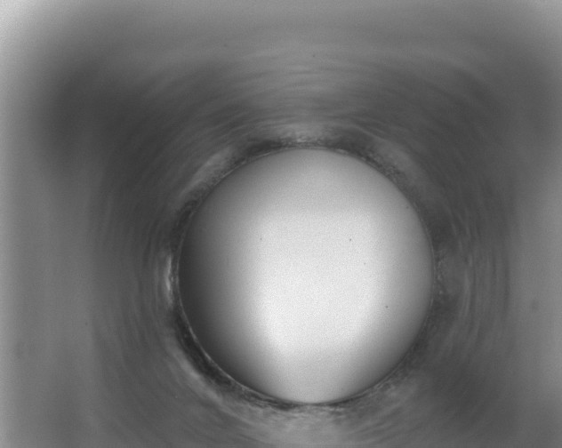 X0000062840024200601171457