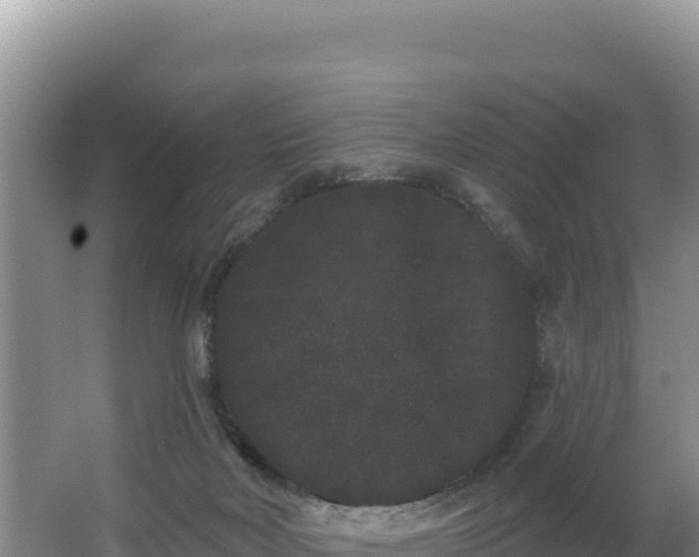 X0000062840026200601171457