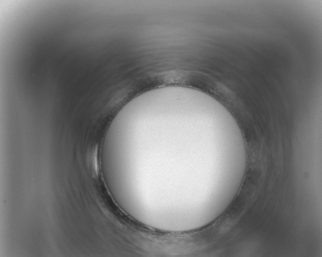 X0000062840028200601171457