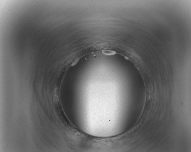 X0000062840029200601171457