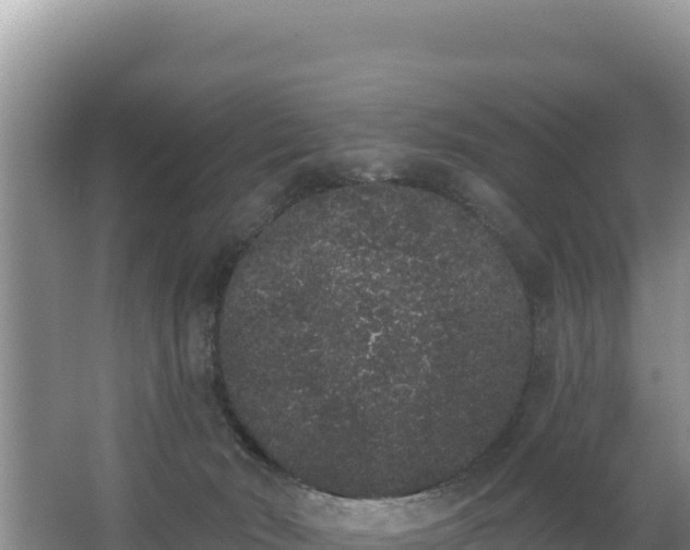 X0000062840030200601171457