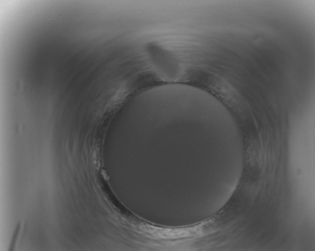 X0000062840031200601171457