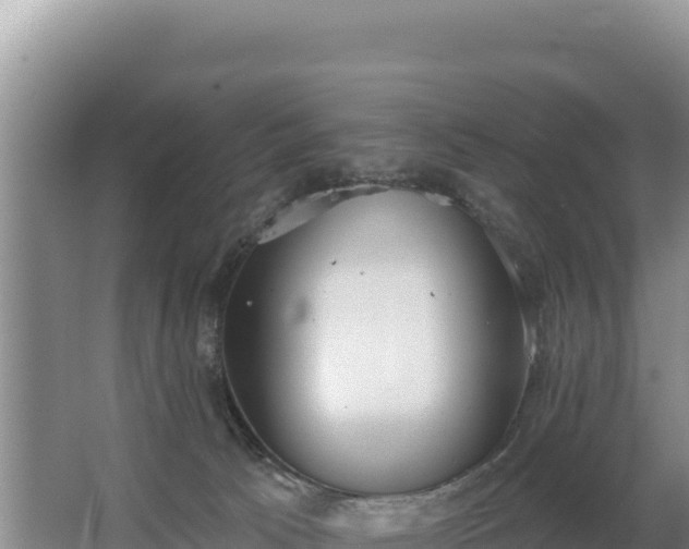 X0000062840033200601171457