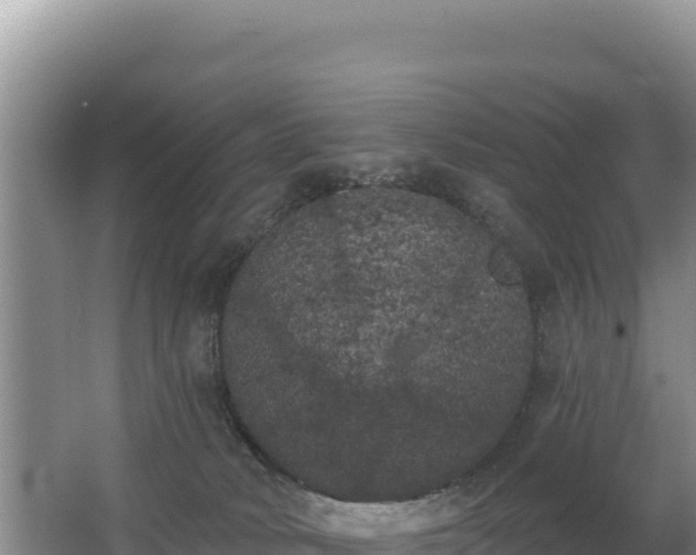 X0000062840034200601171457