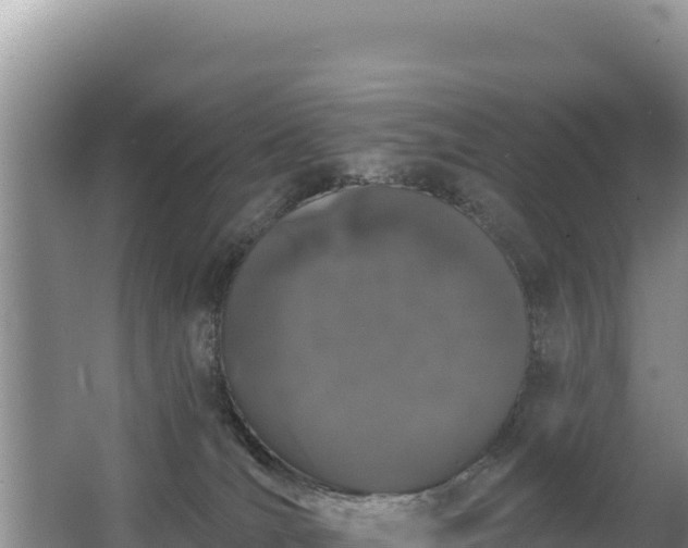 X0000062840036200601171457