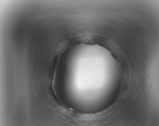 X0000062840037200601171457