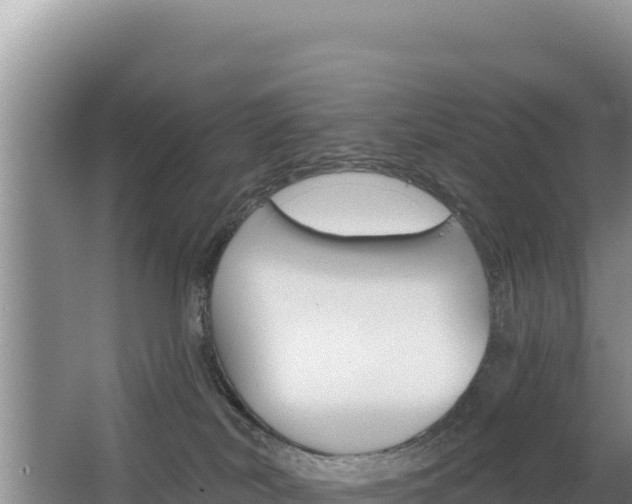 X0000062840038200601171457