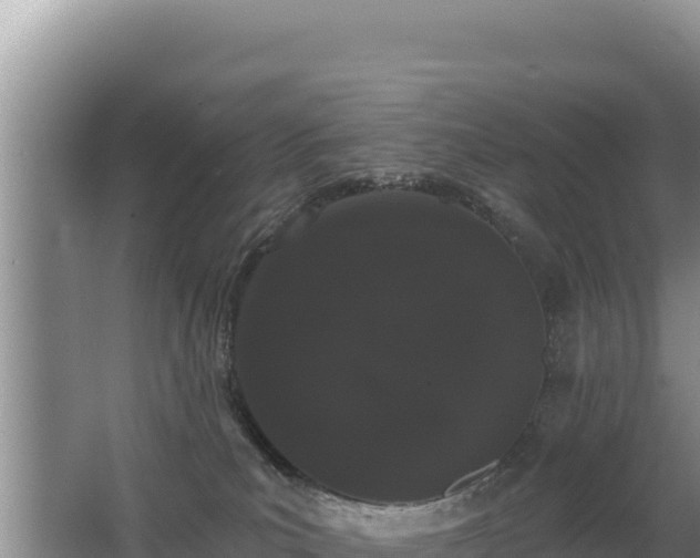 X0000062840039200601171457