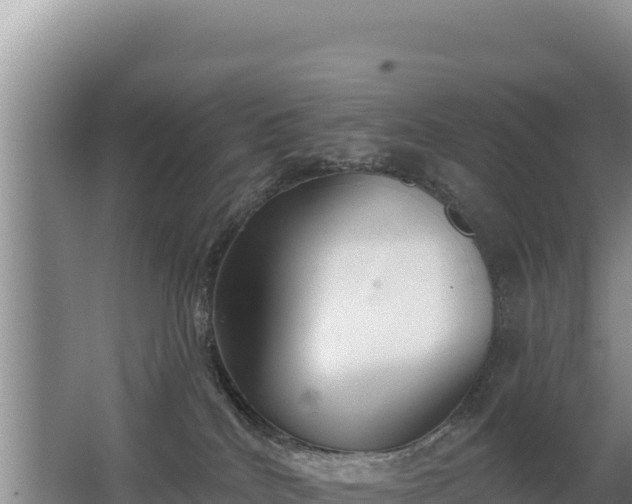 X0000062840040200601171457