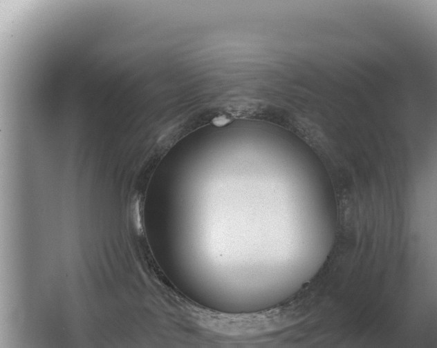 X0000062840042200601171456