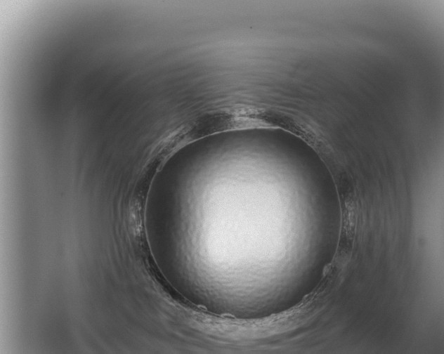 X0000062840043200601171456