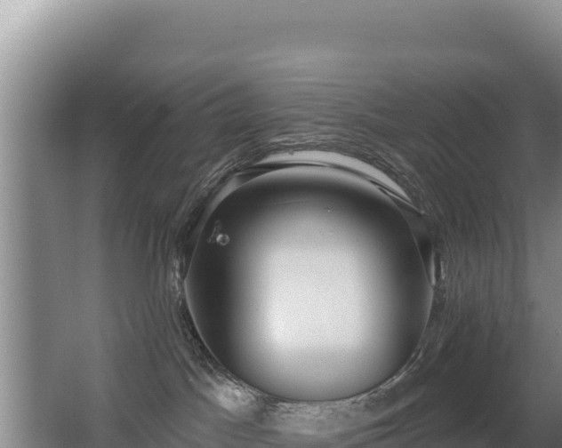 X0000062840045200601171456