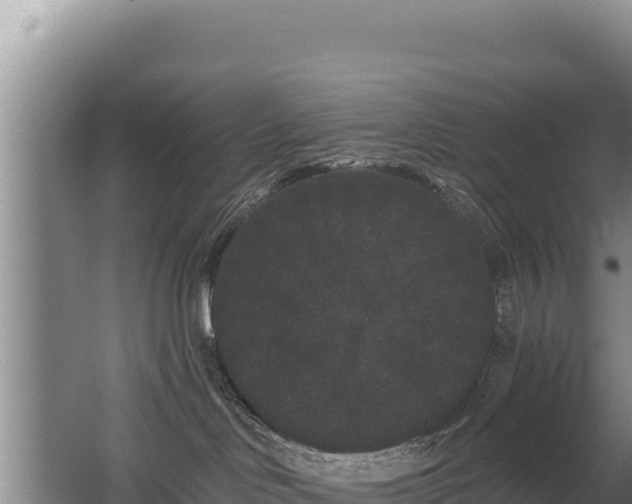 X0000062840046200601171456