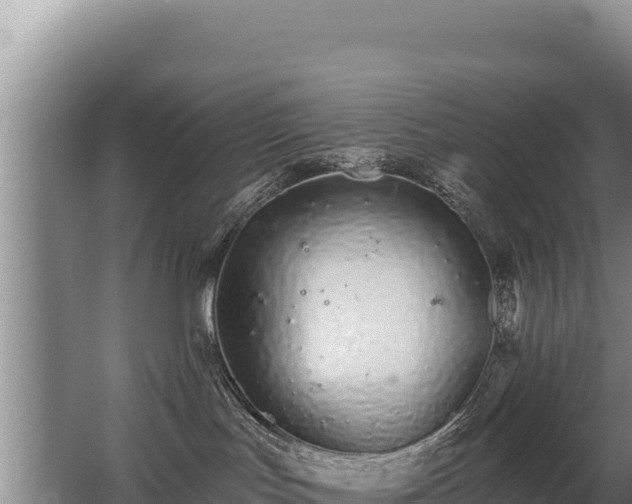 X0000062840047200601171456