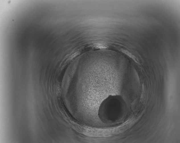 X0000062840048200601171456