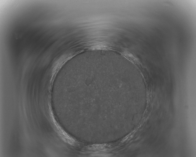 X0000062840049200601171456