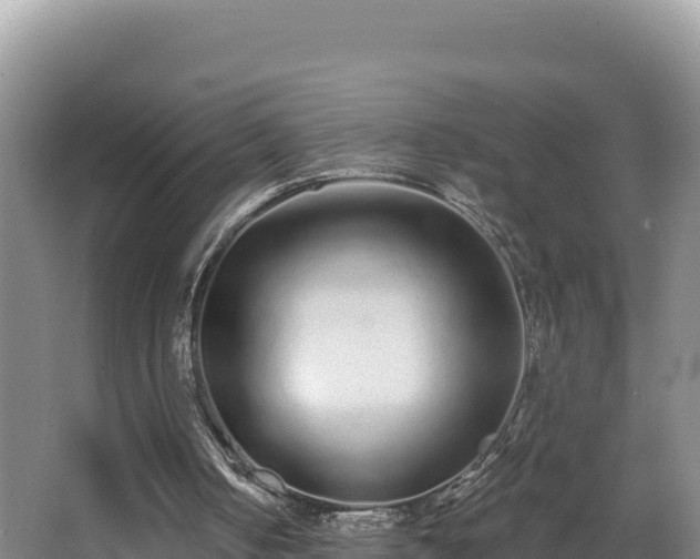 X0000062840050200601171456