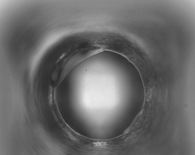 X0000062840052200601171456